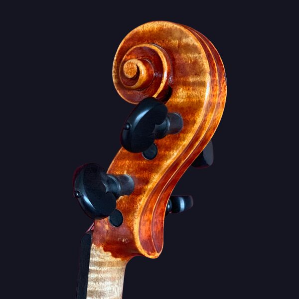 Violin