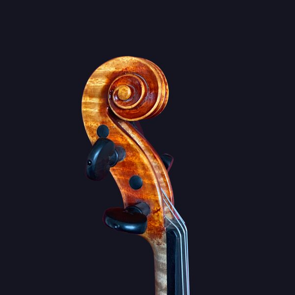 Violin