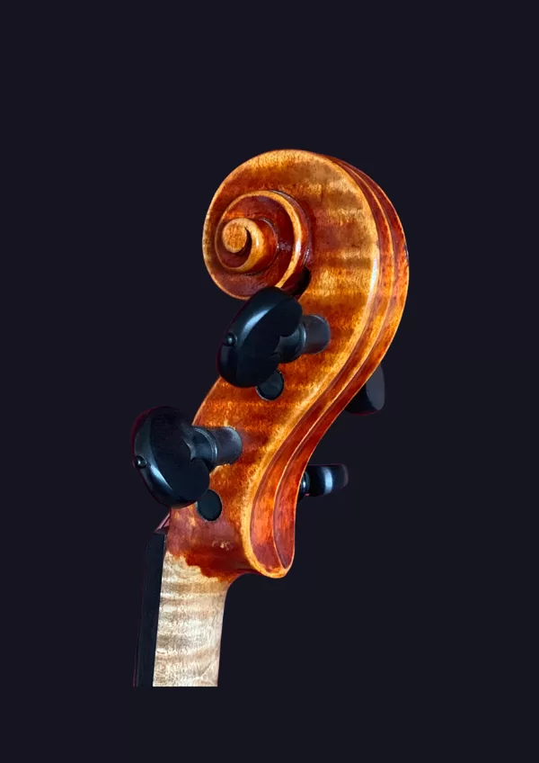 Violin