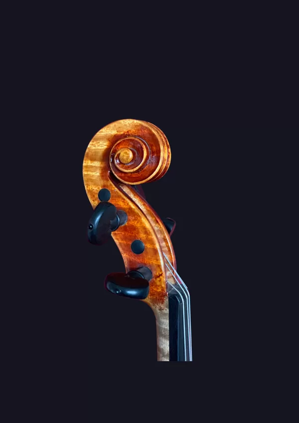 Violin